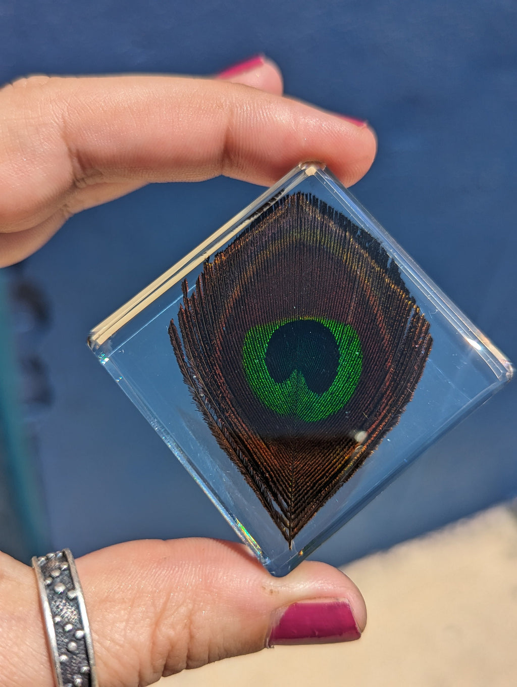 Peacock Feather , Preserved in Resin, Collectible Modern Fossil