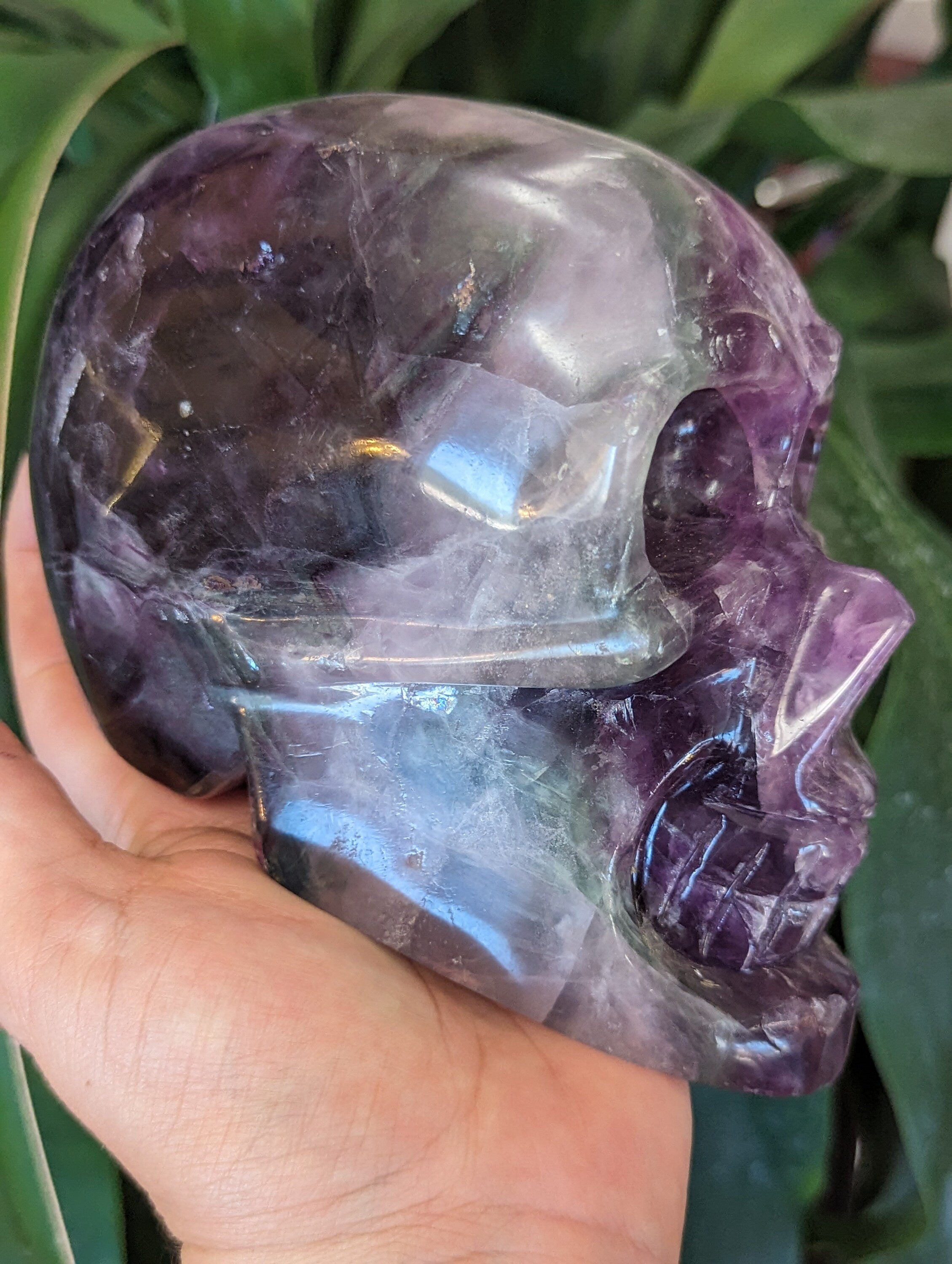 Huge 4.75lb Fluorite Crystal Skull