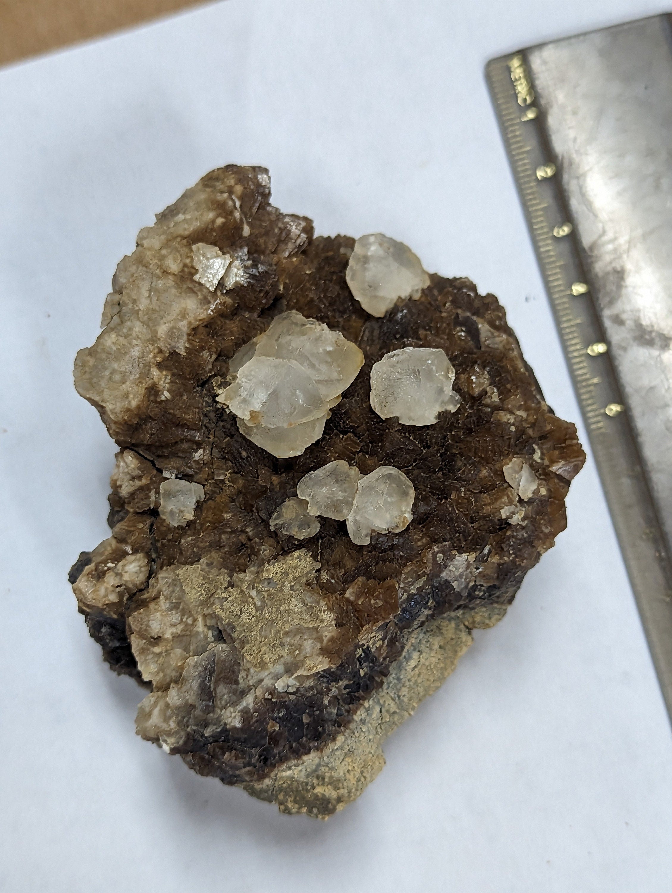 Poker Chip Calcite Crystals, on Brown Calcite and Septarian Nodule Matrix from Colorado