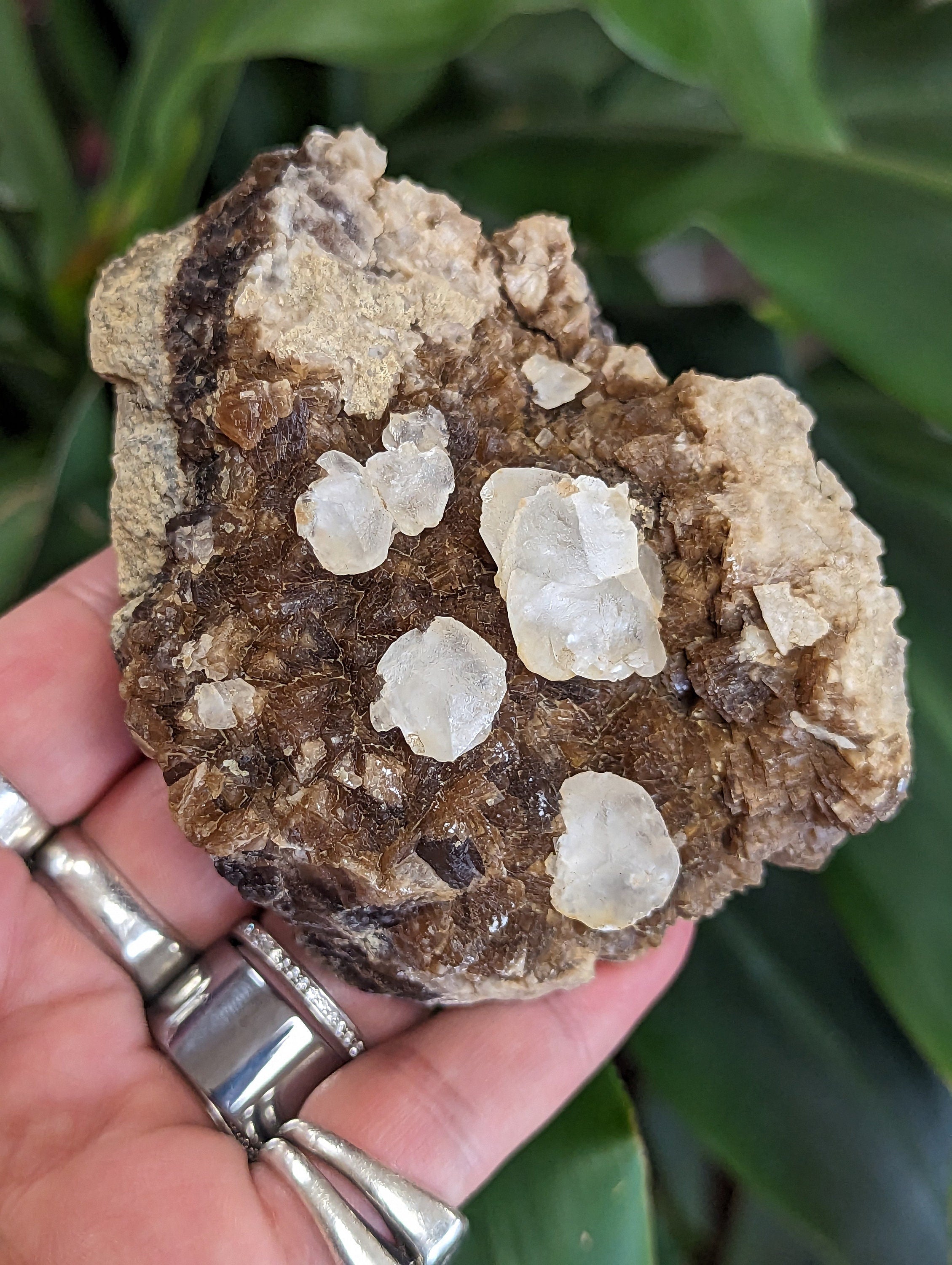 Poker Chip Calcite Crystals, on Brown Calcite and Septarian Nodule Matrix from Colorado