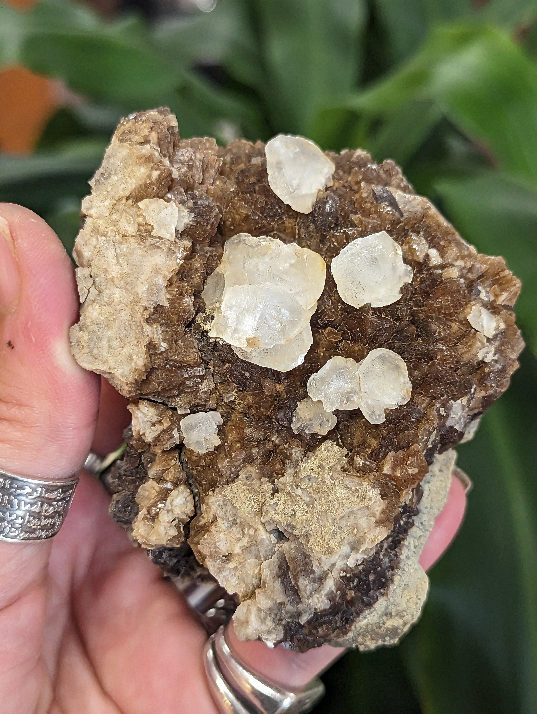 Poker Chip Calcite Crystals, on Brown Calcite and Septarian Nodule Matrix from Colorado