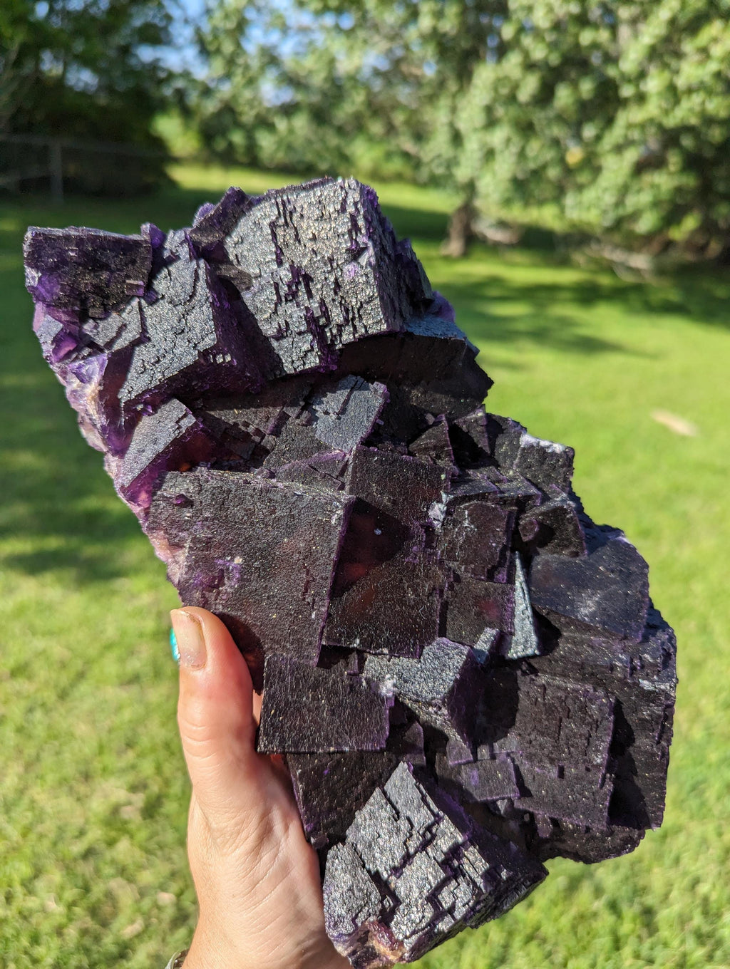 Huge 6.5lb Vintage Illinois Fluorite Minerva Mine Cave in Rock