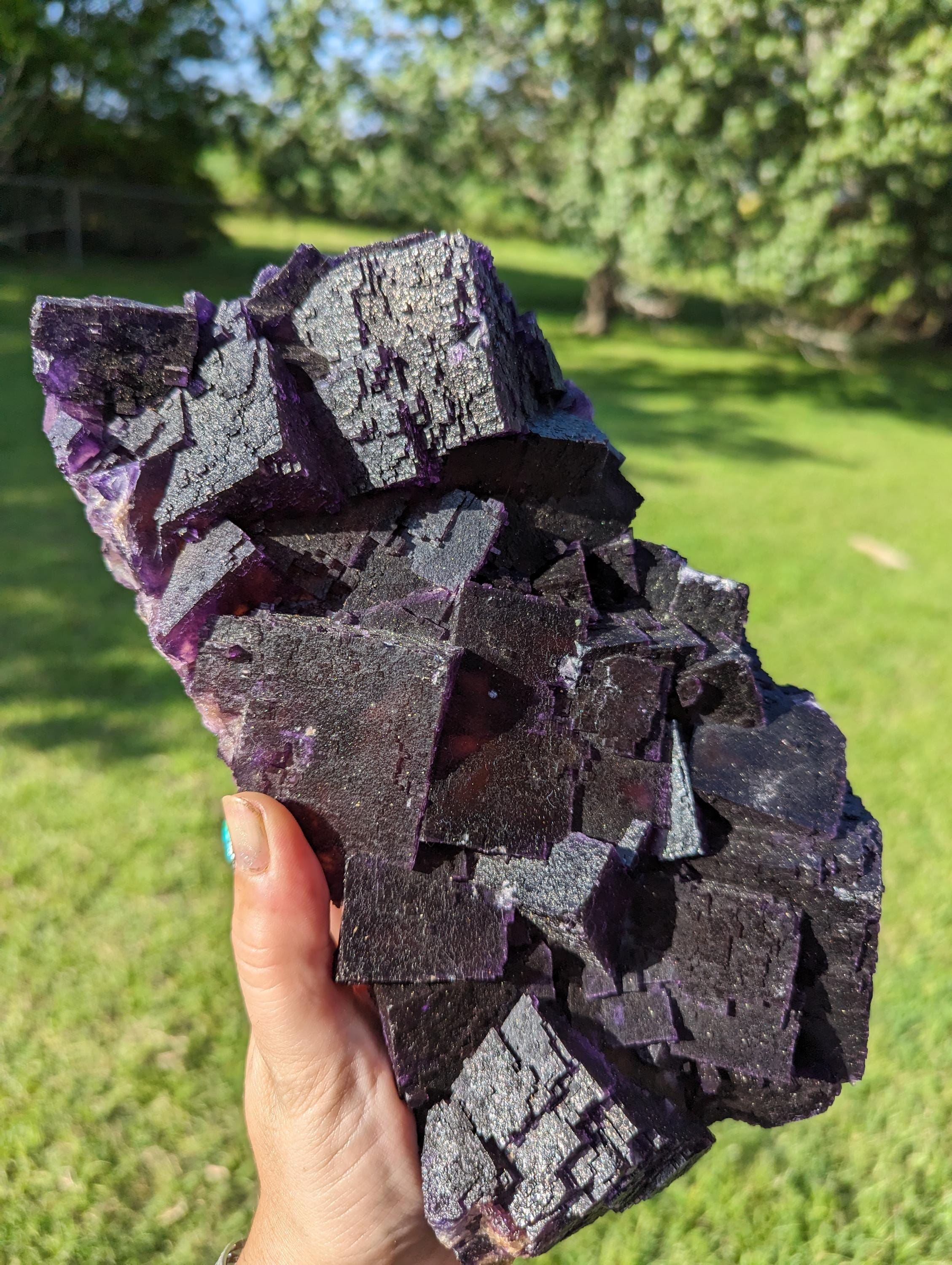 Huge 6.5lb Vintage Illinois Fluorite Minerva Mine Cave in Rock