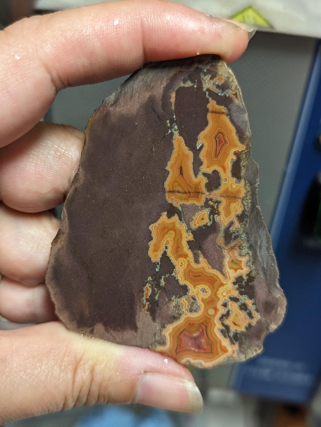 Natural Montana Dryhead Agate Slab, Uncommon Pattern