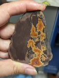 Natural Montana Dryhead Agate Slab, Uncommon Pattern