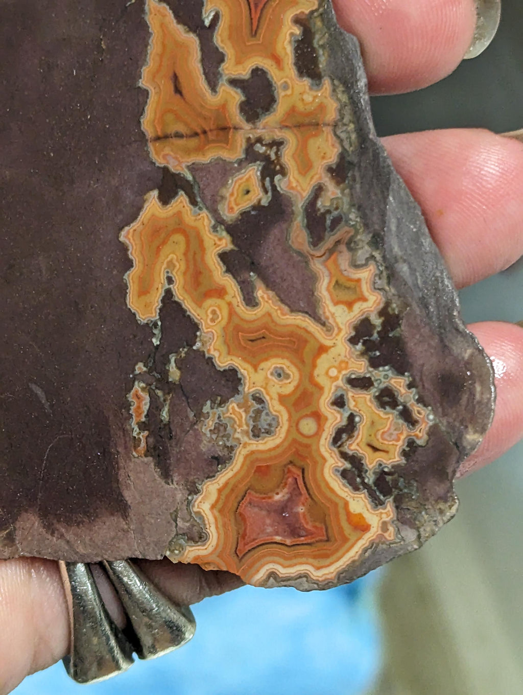 Natural Montana Dryhead Agate Slab, Uncommon Pattern