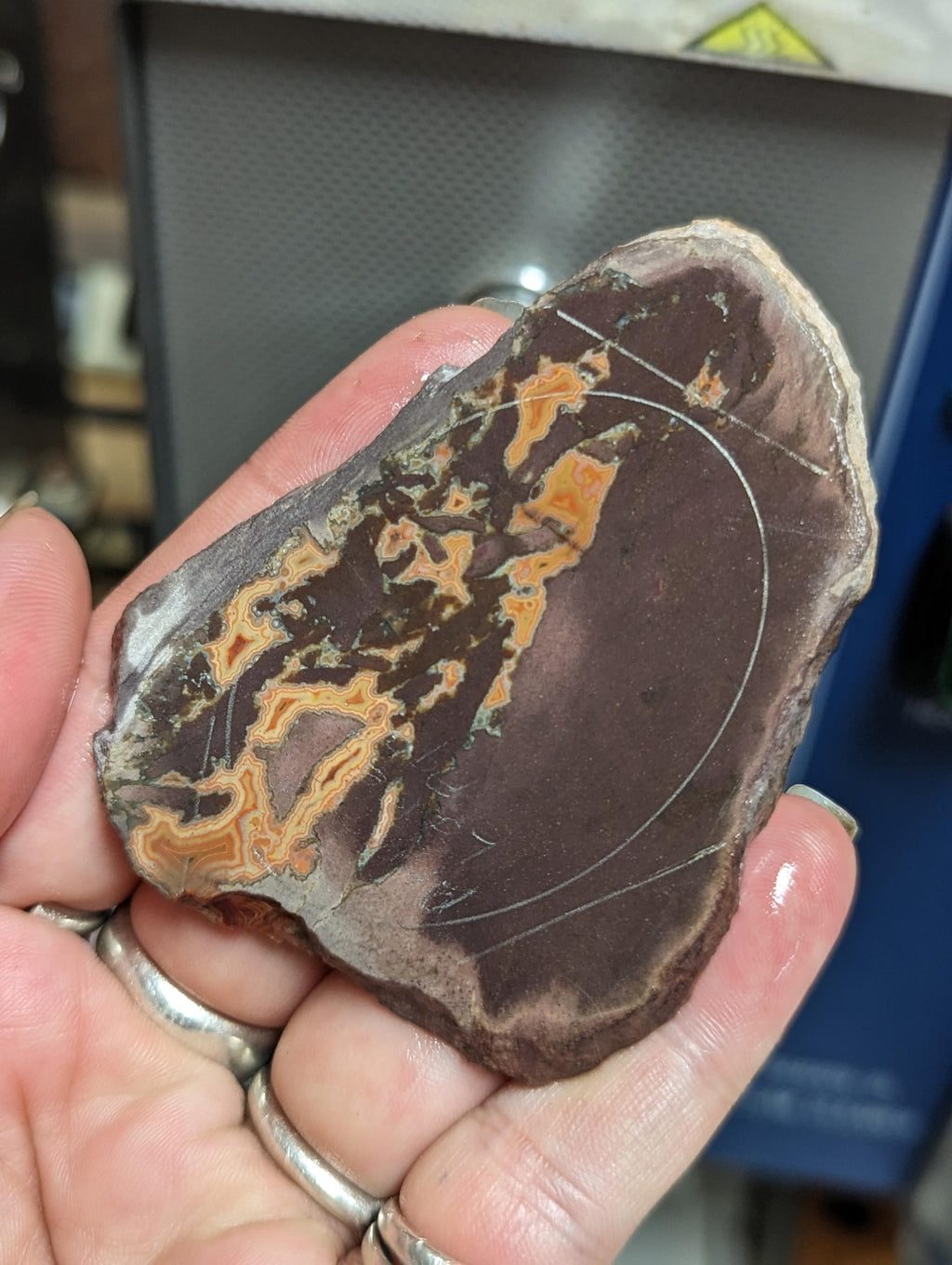Natural Montana Dryhead Agate Slab, Uncommon Pattern