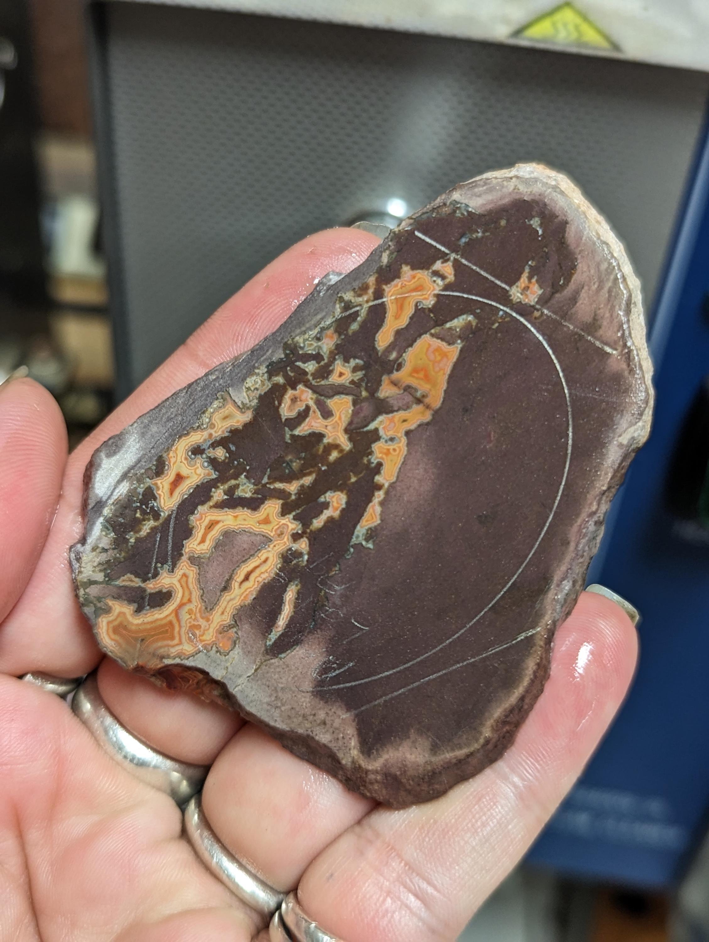 Natural Montana Dryhead Agate Slab, Uncommon Pattern