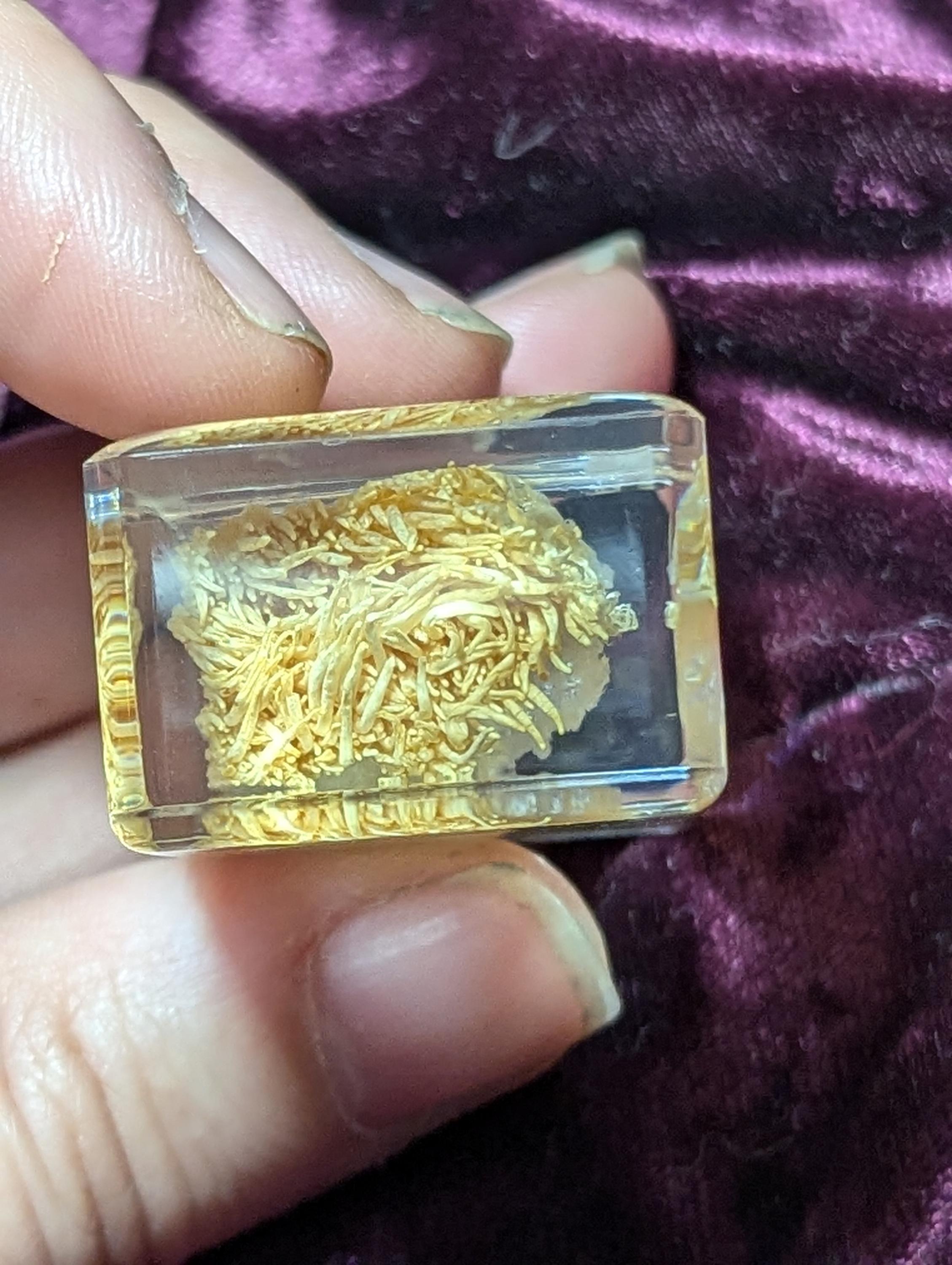Lions Mane Mushroom, Preserved in Resin, Collectible Modern Day Fossil