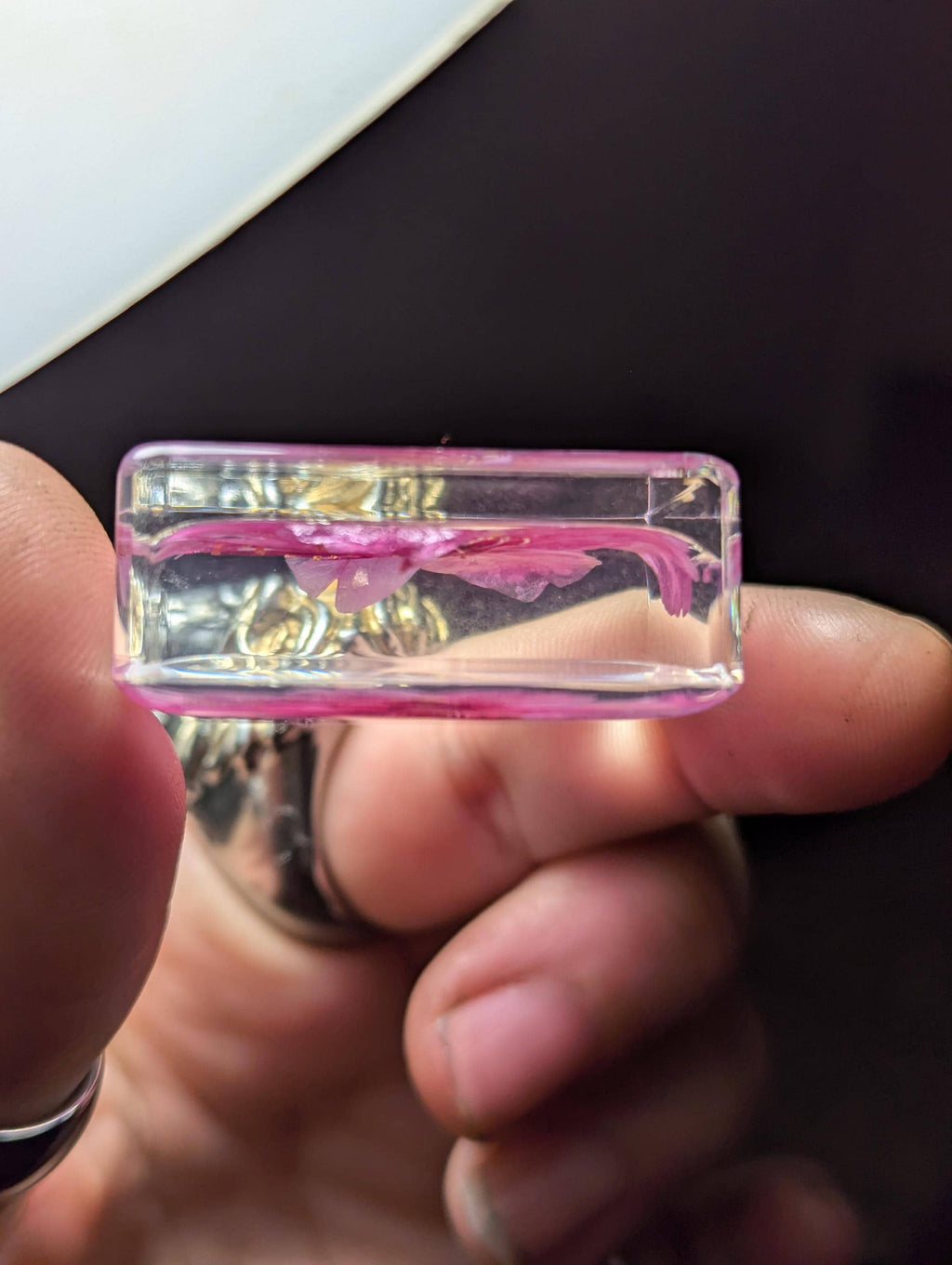 Cherry Blossom Flower , Preserved in Resin, Collectible Modern Day Plant Fossil