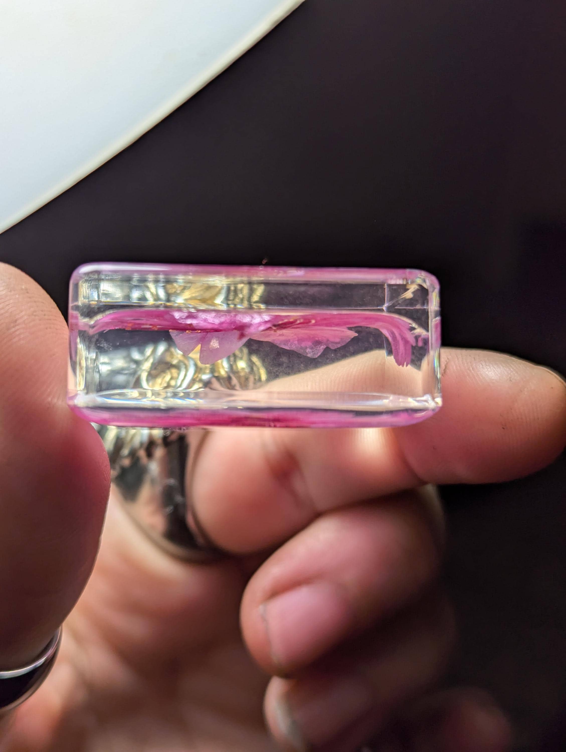 Cherry Blossom Flower , Preserved in Resin, Collectible Modern Day Plant Fossil