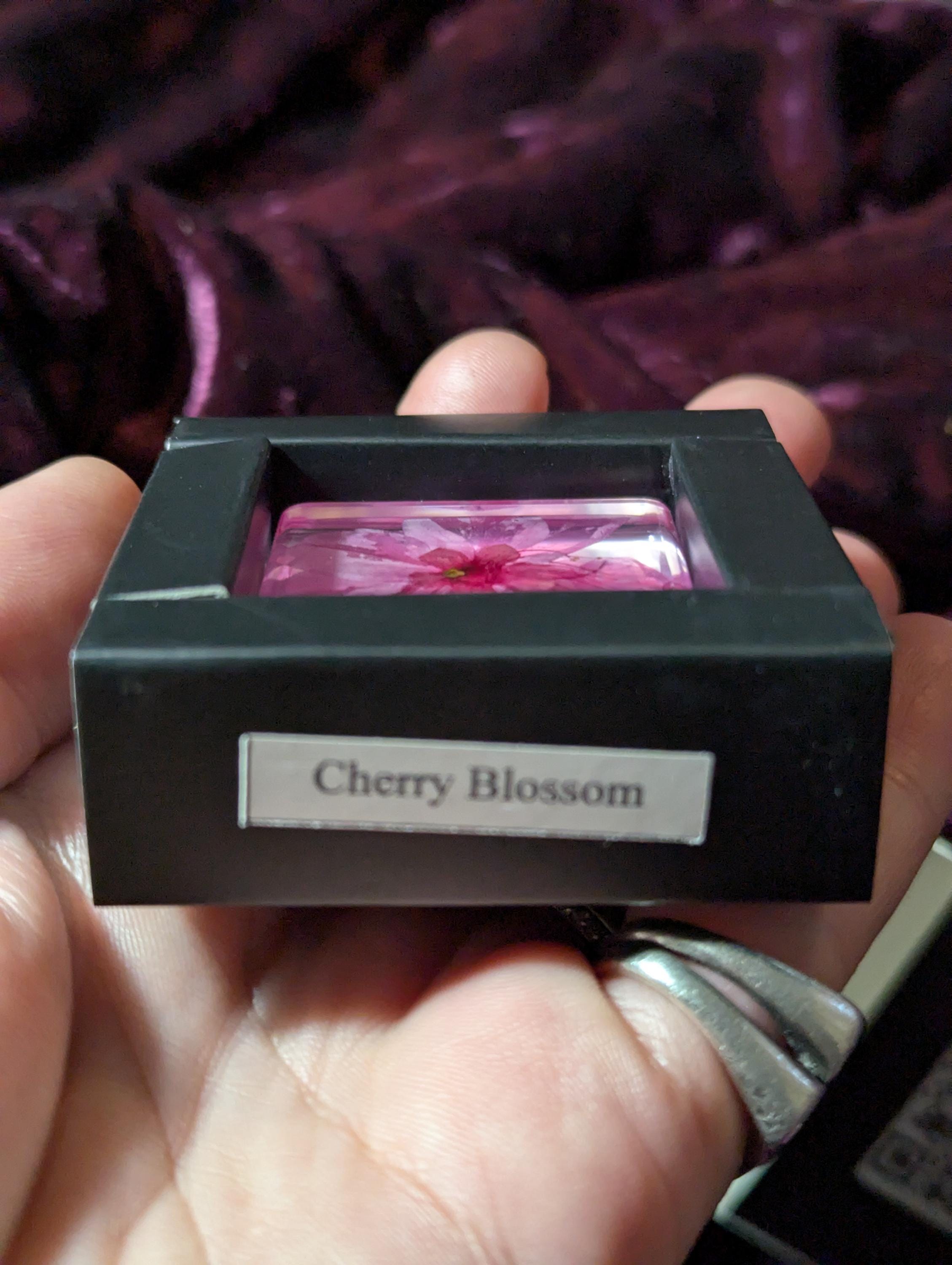 Cherry Blossom Flower , Preserved in Resin, Collectible Modern Day Plant Fossil