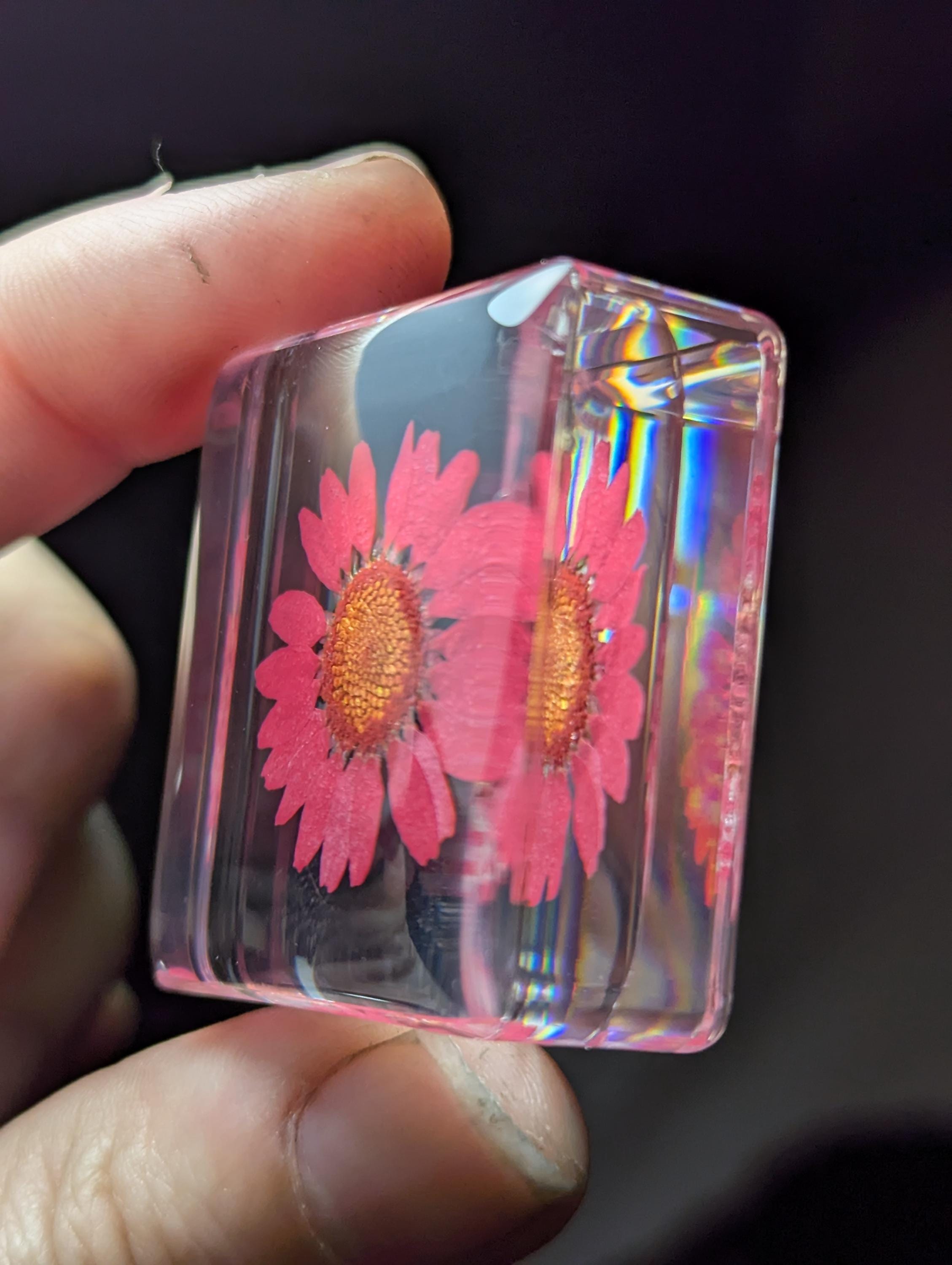 Red Daisy Flower , Preserved in Resin, Collectible Modern Day Plant Fossil