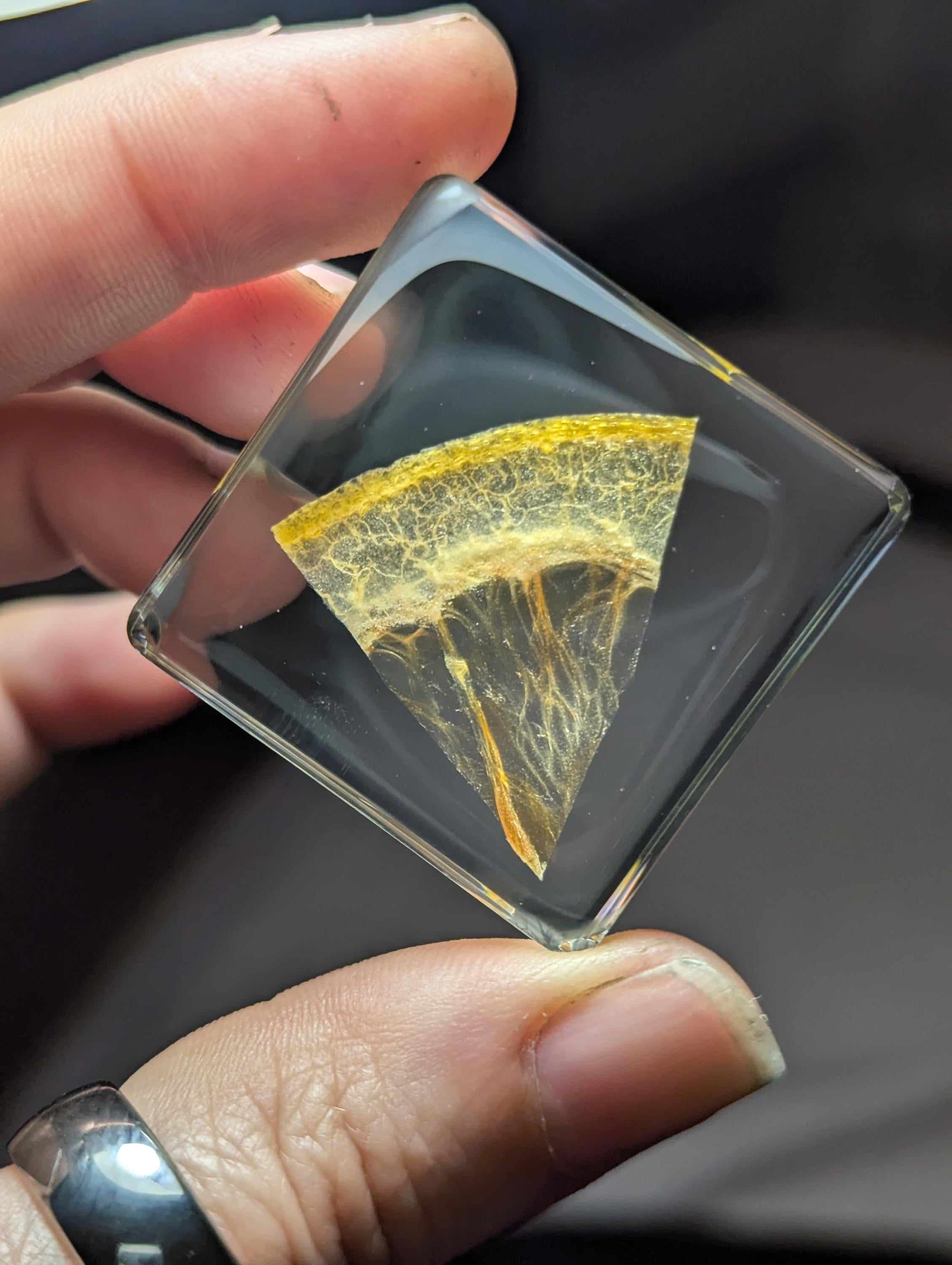 Slice of Orange, Preserved in Resin, Collectible Modern Day Forever Fruit Fossil