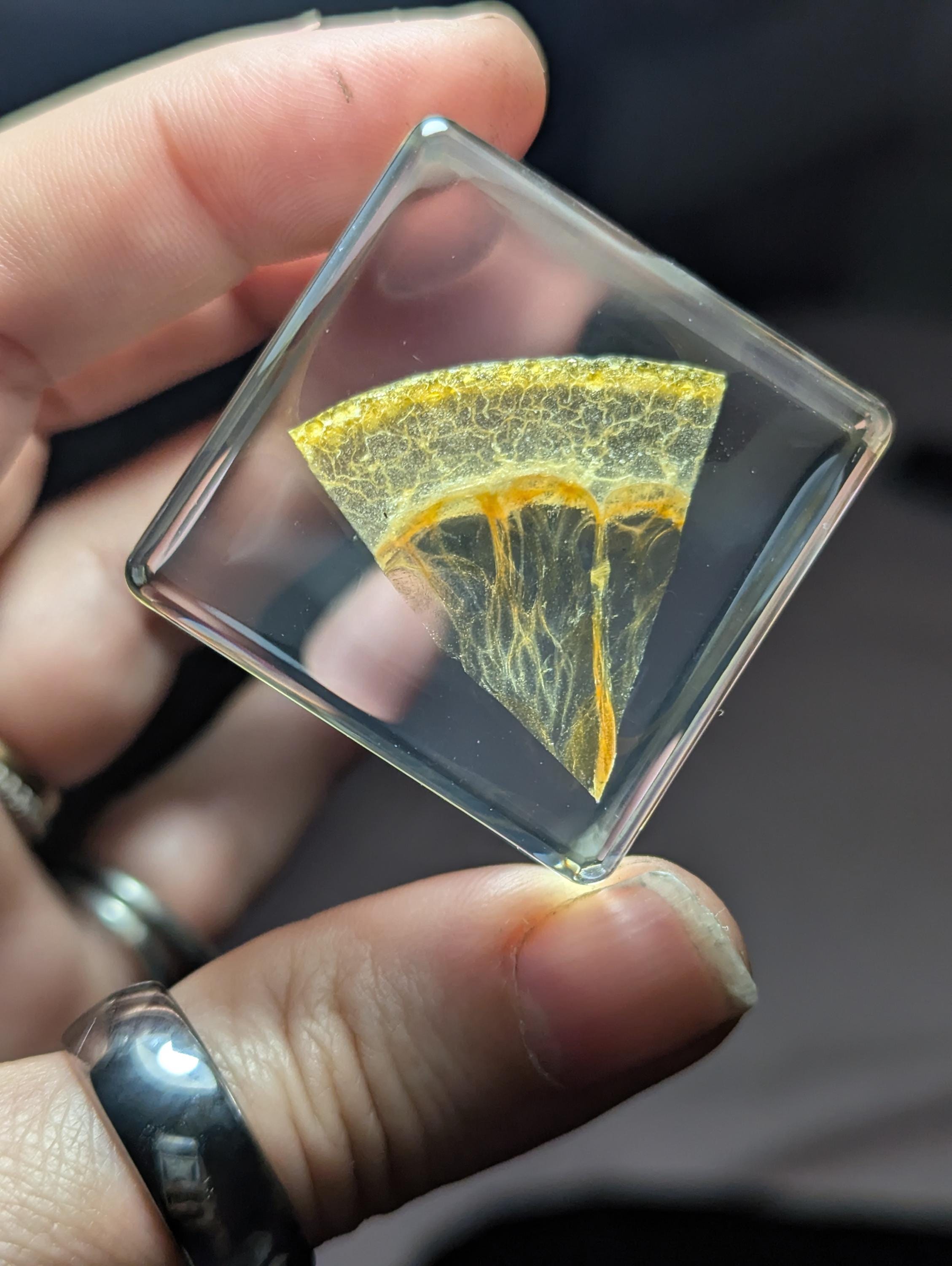 Slice of Orange, Preserved in Resin, Collectible Modern Day Forever Fruit Fossil