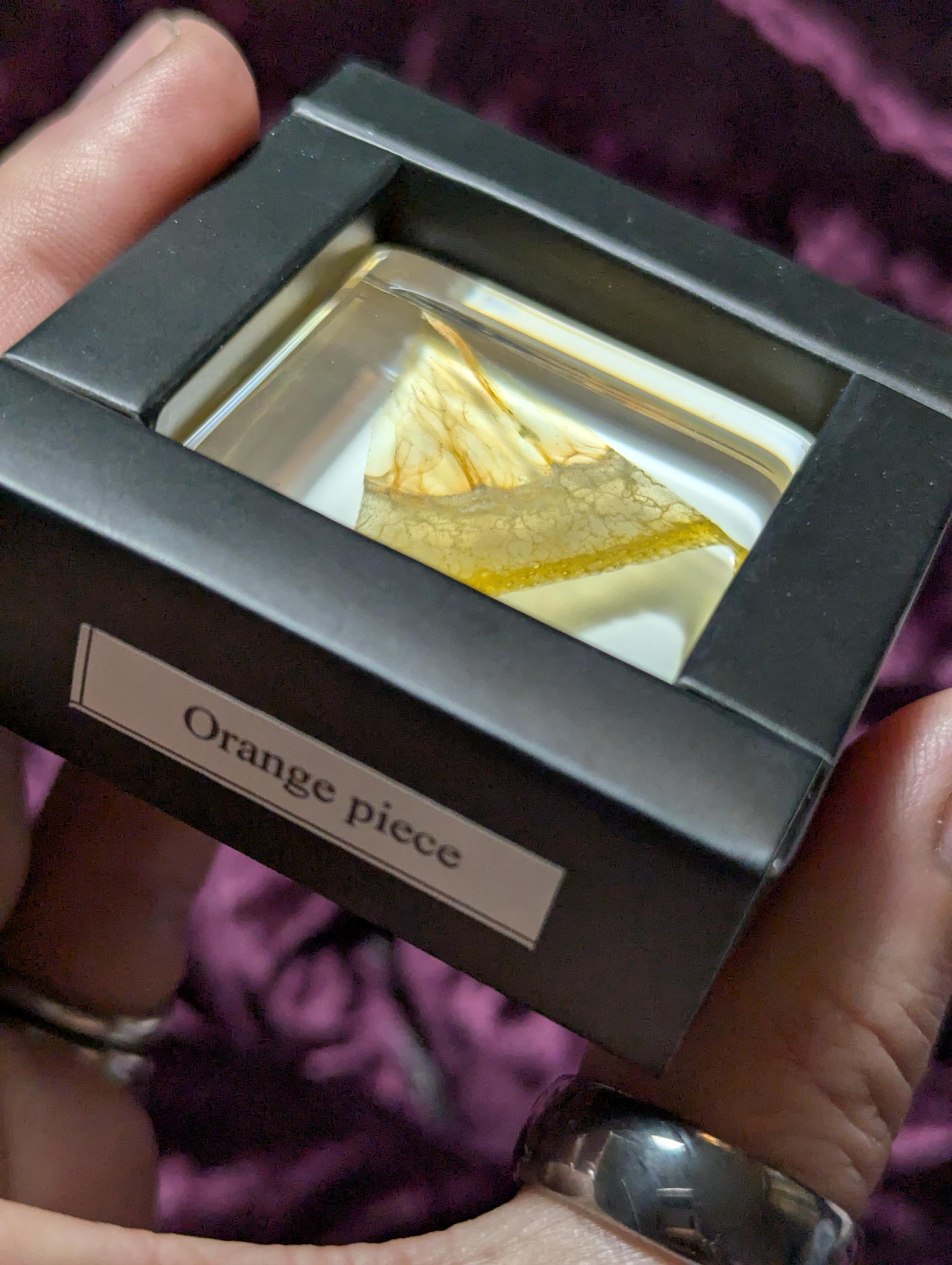 Slice of Orange, Preserved in Resin, Collectible Modern Day Forever Fruit Fossil