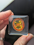 Tomato Slice, Preserved in Resin, Collectible Modern Day Forever Fruit Fossil