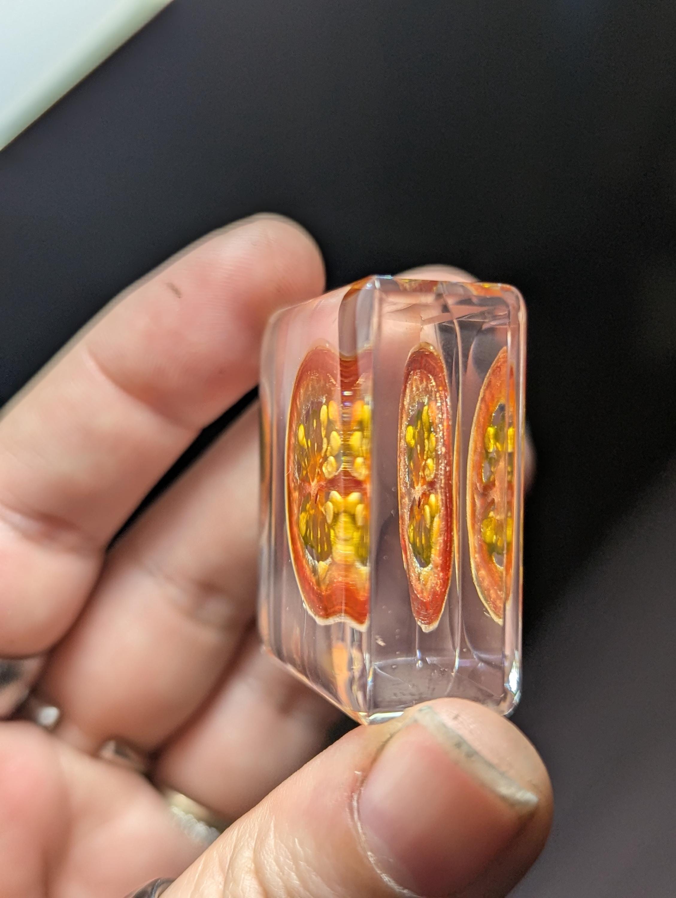 Tomato Slice, Preserved in Resin, Collectible Modern Day Forever Fruit Fossil