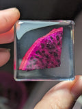 Red Dragonfruit Slice, Preserved in Resin, Collectible Modern Day Forever Fruit Fossil