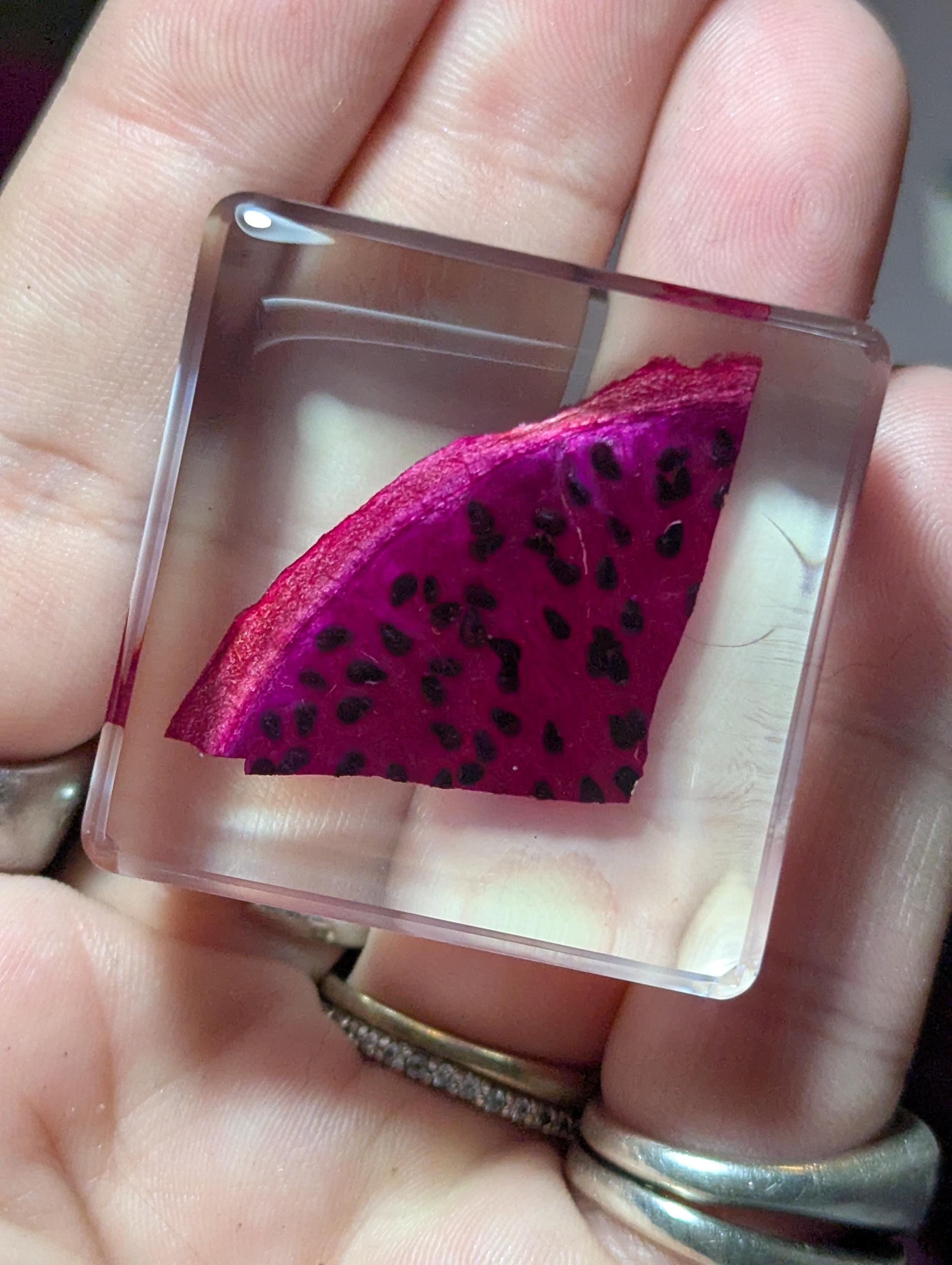 Red Dragonfruit Slice, Preserved in Resin, Collectible Modern Day Forever Fruit Fossil