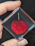 Cherry Slice, Preserved in Resin, Collectible Modern Day Forever Fruit Fossil