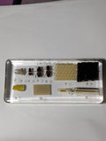 Large Educational Lifecycle of a Honeybee , Preserved in Resin, Collectible Modern Day Fossil