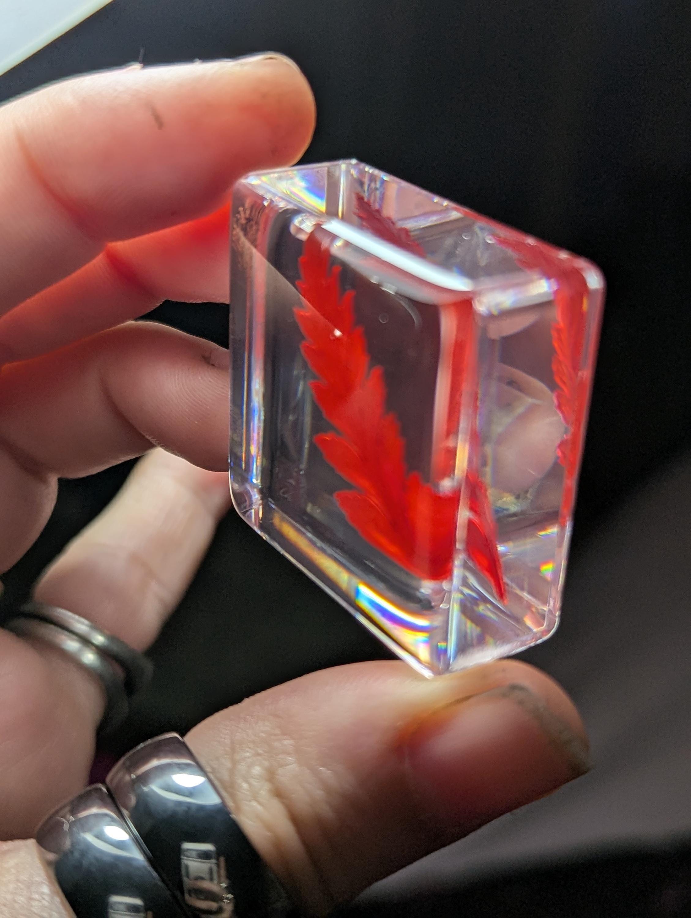Red Fern Leaf , Preserved in Resin, Collectible Modern Day Plant Fossil