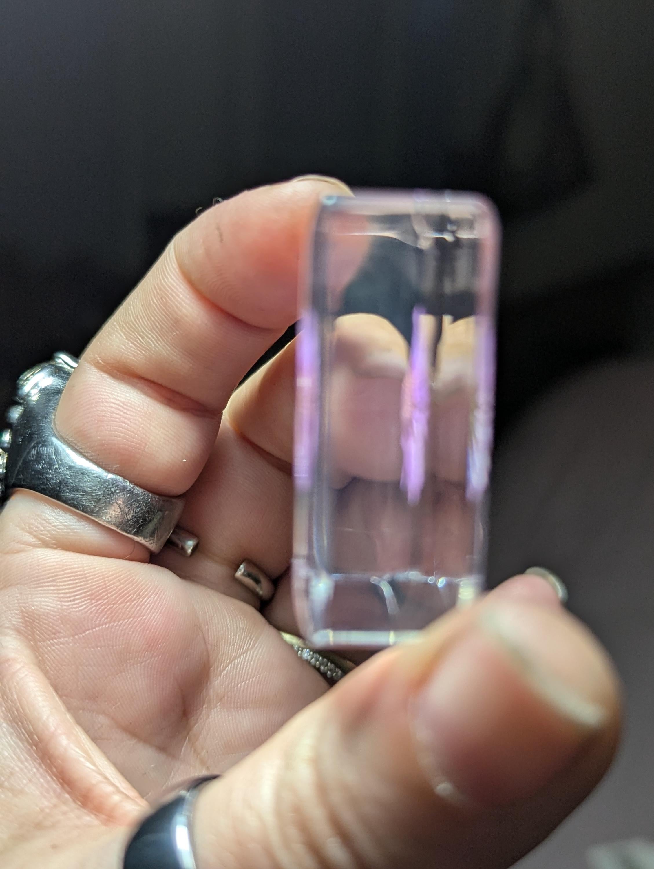 Purple Chrysanthemum Flower , Preserved in Resin, Collectible Modern Day Plant Fossil