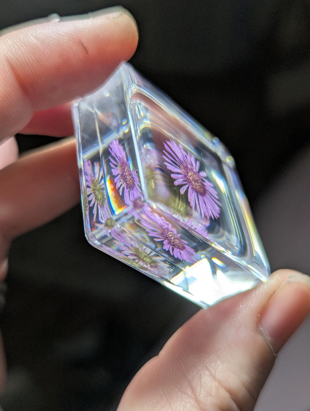Purple Chrysanthemum Flower , Preserved in Resin, Collectible Modern Day Plant Fossil