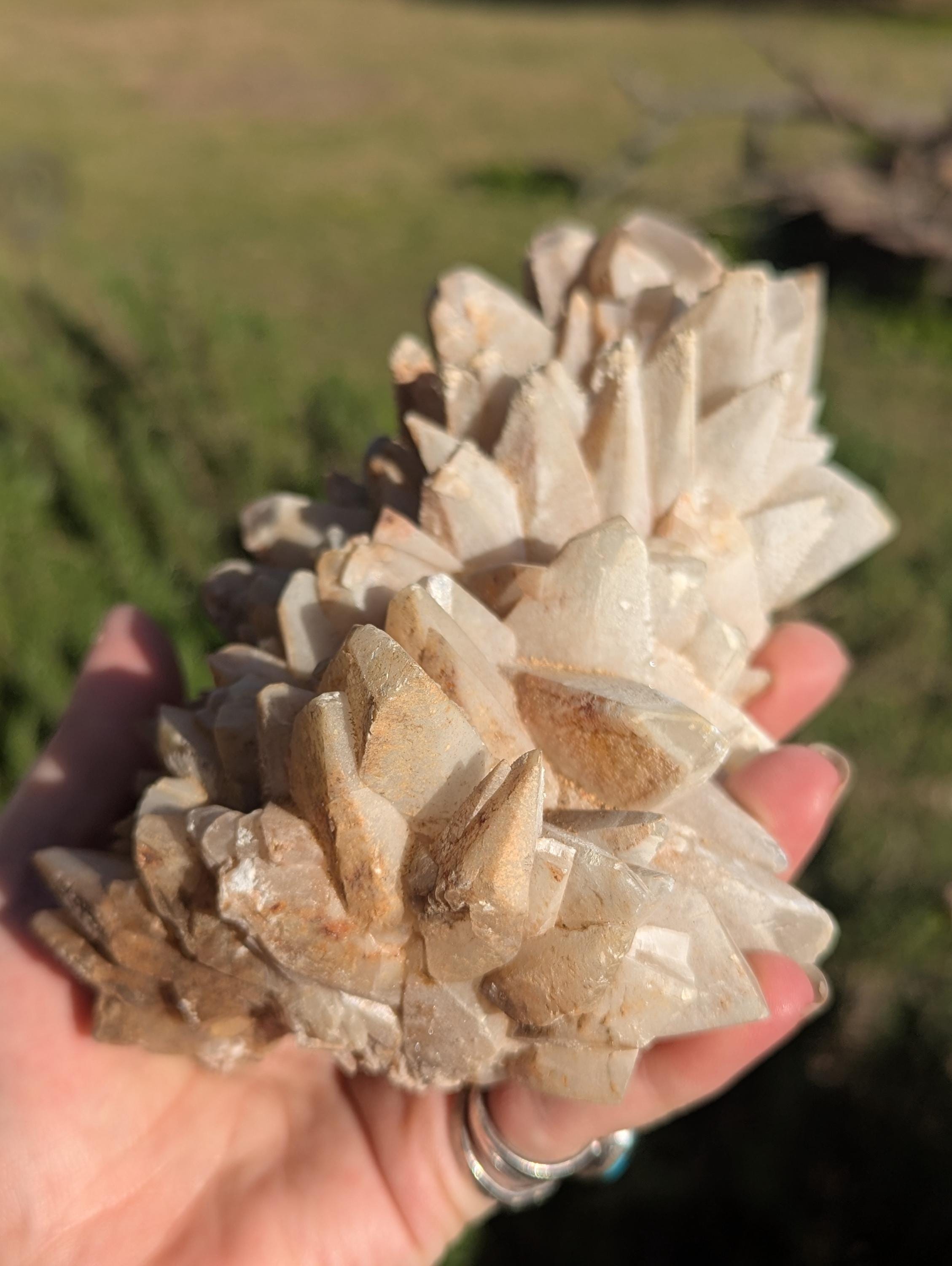 Huge Calcite Cluster, Lots of Points, Funky Backside?, Cool specimen