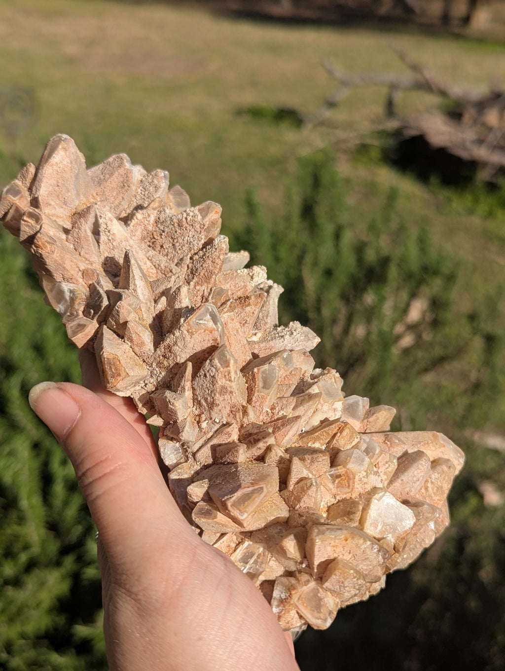 Huge Calcite Cluster, Lots of Points, Funky Backside?, Cool specimen