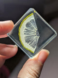 Lime Slice, Preserved in Resin, Collectible Modern Day Forever Fruit Fossil