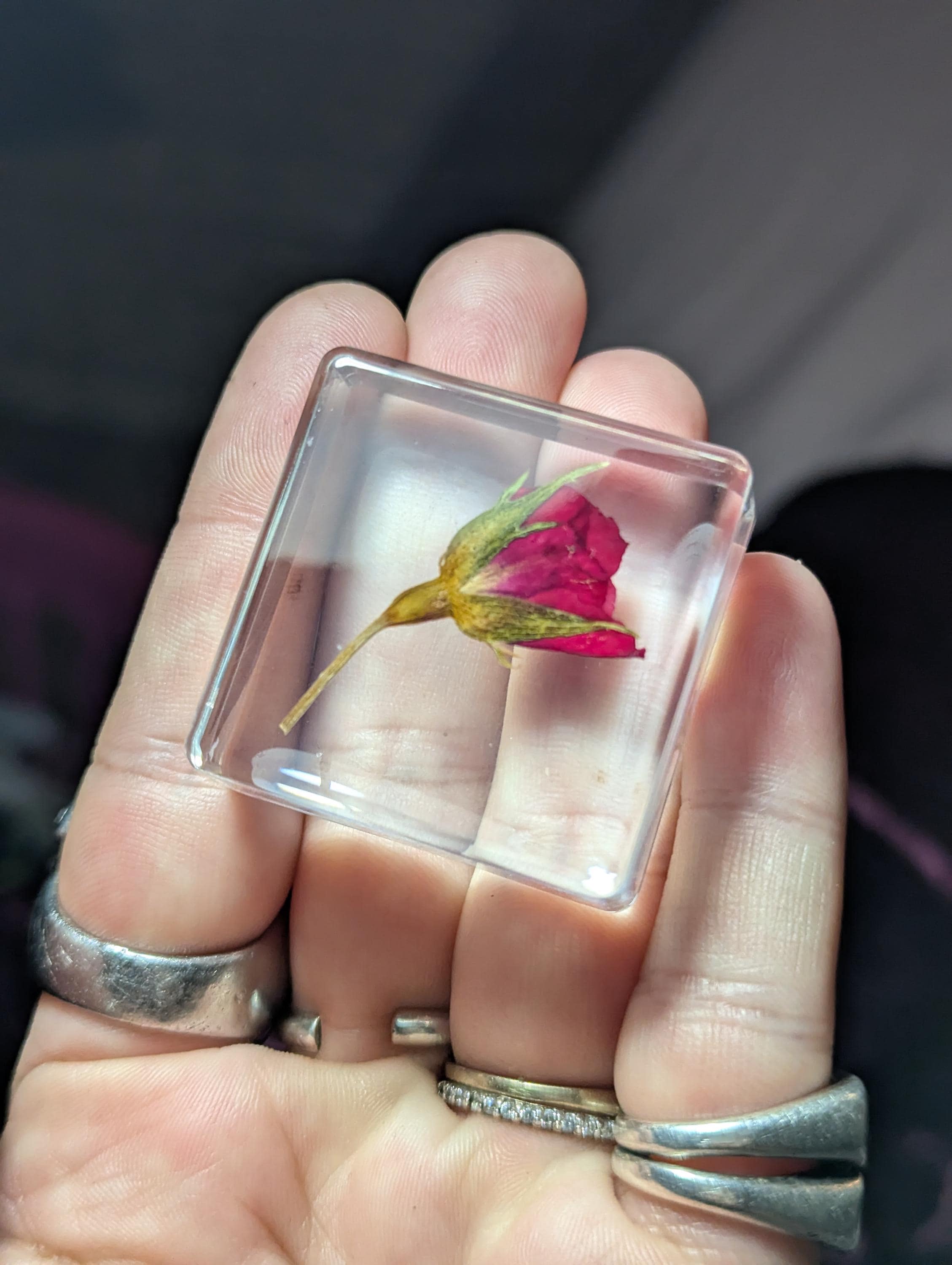 Rose Flower on Stem , Preserved in Resin, Collectible Modern Day Plant Fossil