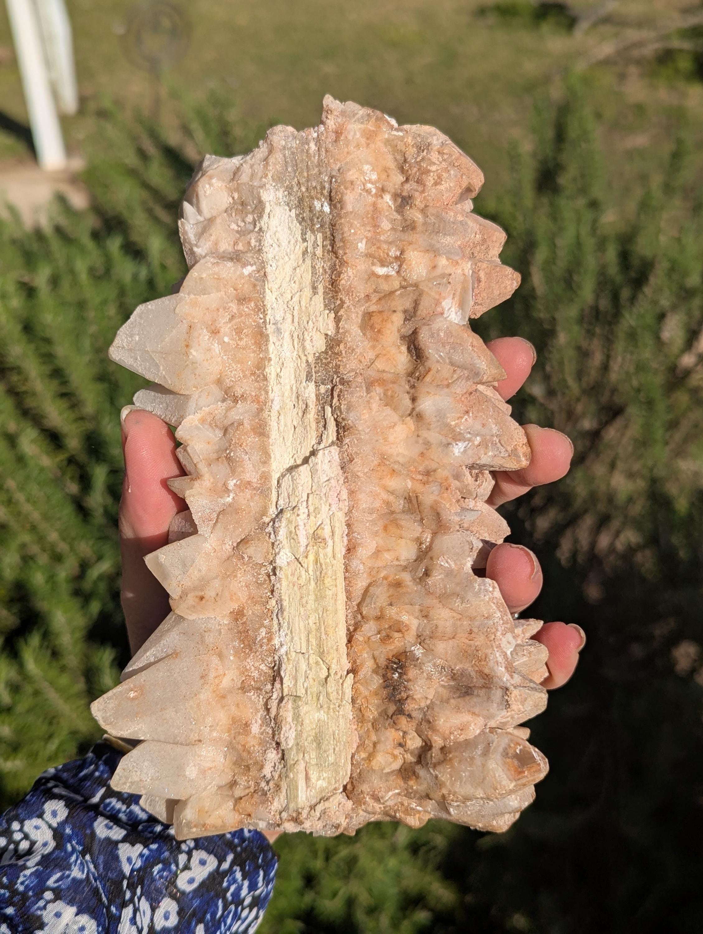 Huge Calcite Cluster, Lots of Points, Funky Backside?, Cool specimen