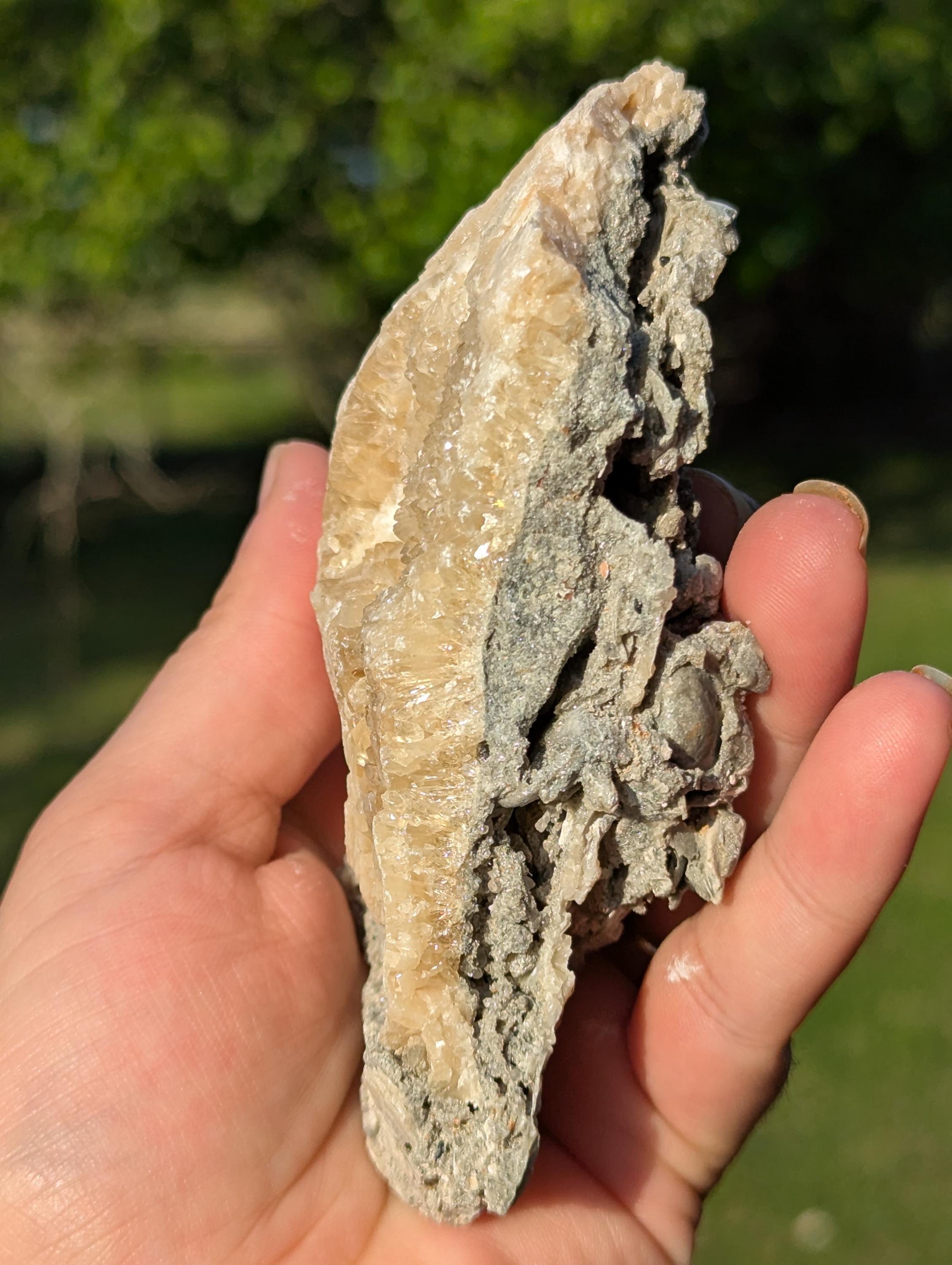 Large Gemmy Calcite Crystals Covering Fossil Clam Shell Rucks Pit Florida
