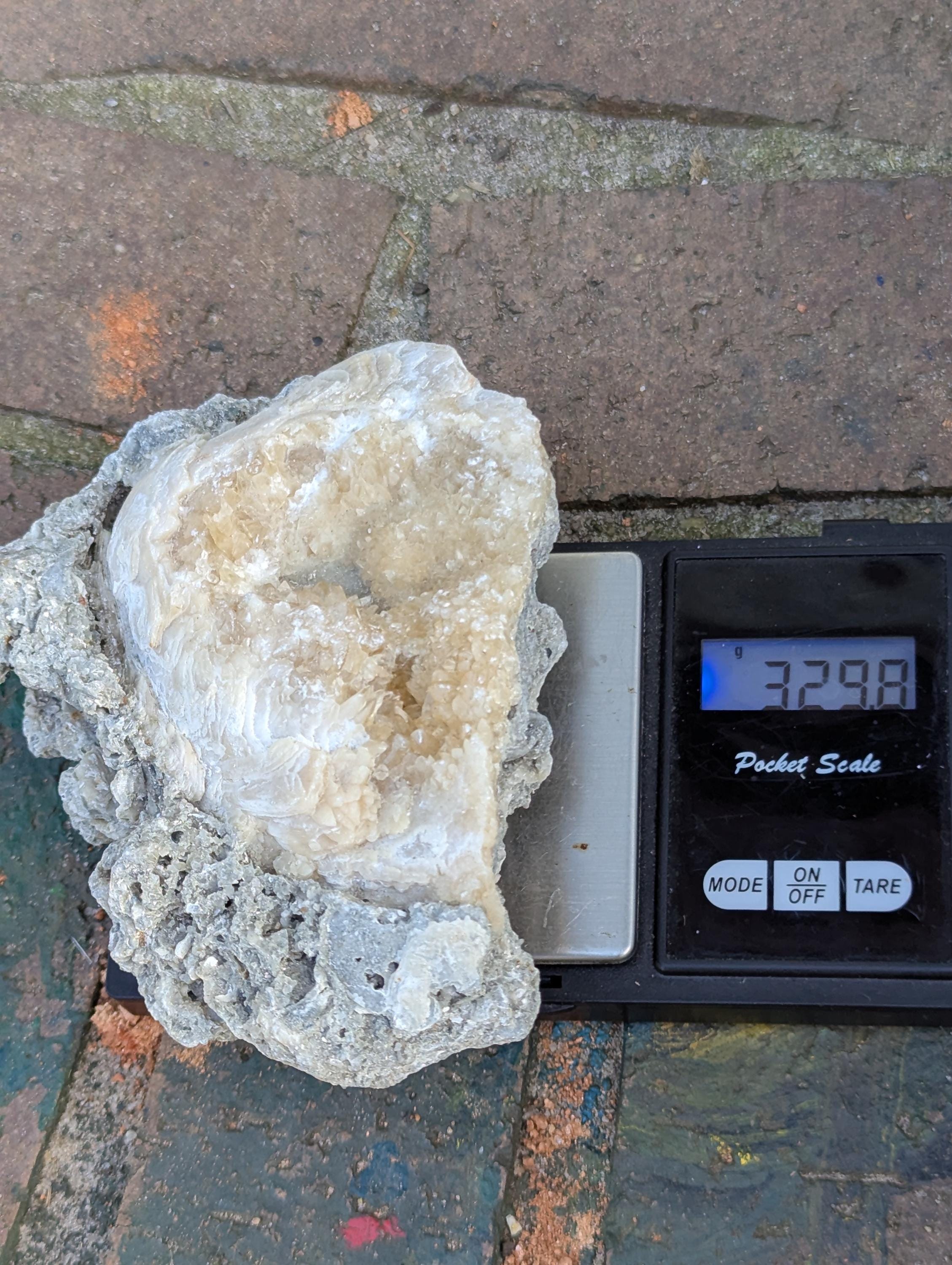 Large Gemmy Calcite Crystals Covering Fossil Clam Shell Rucks Pit Florida