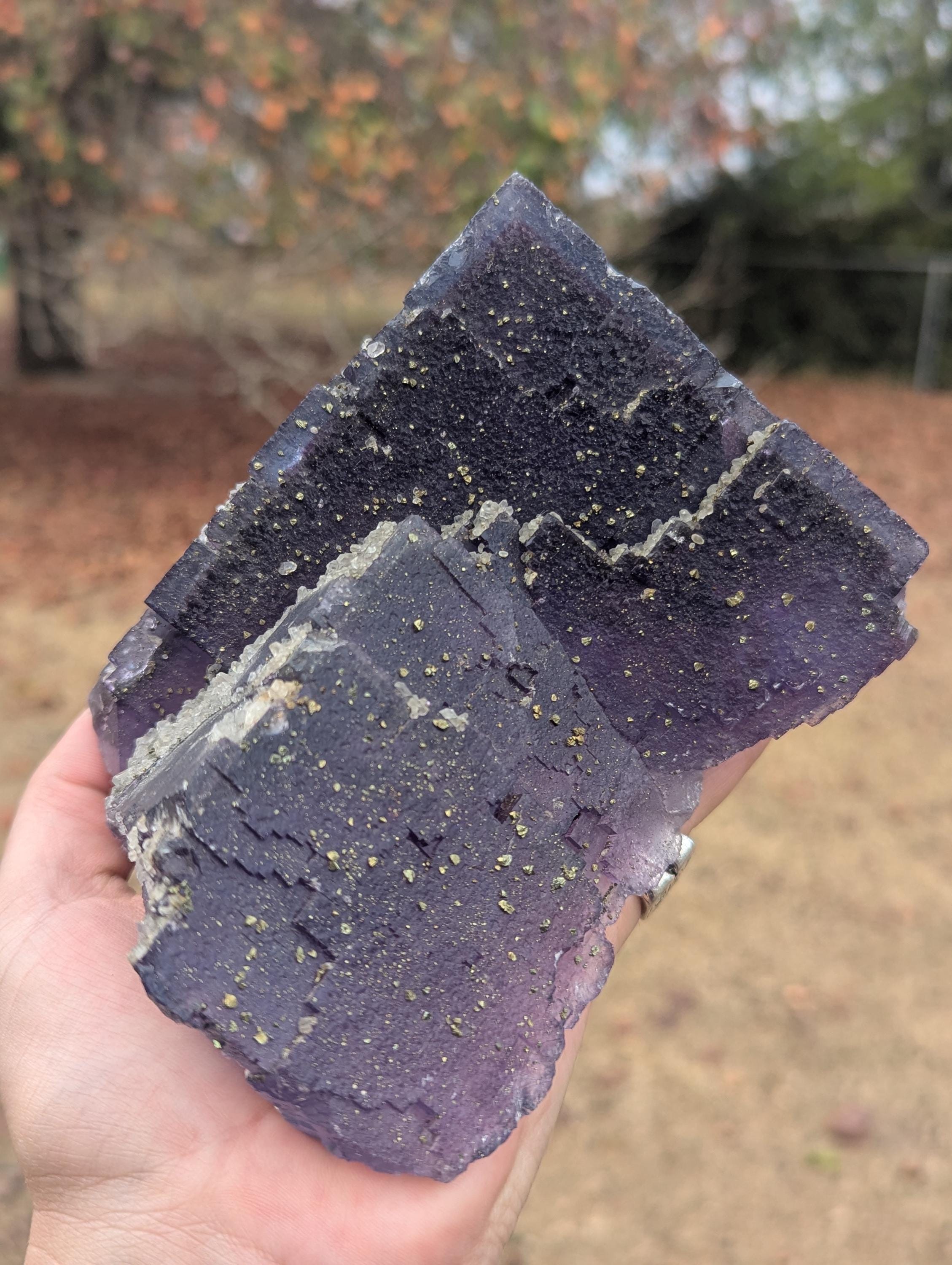 Big Beautiful Illinois Fluorite Minerva Mine Cave in Rock