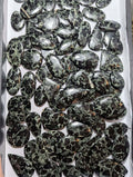 One Dollar Intuitively Chosen Black Tourmaline Matix Cabochon