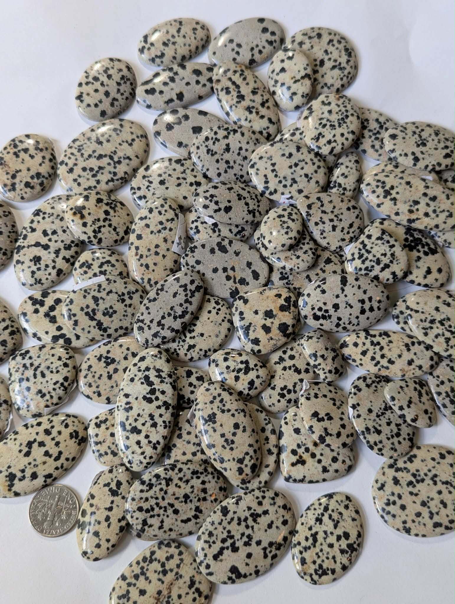 One Dollar Intuitively Chosen Dalmatian Jasper Cabochon