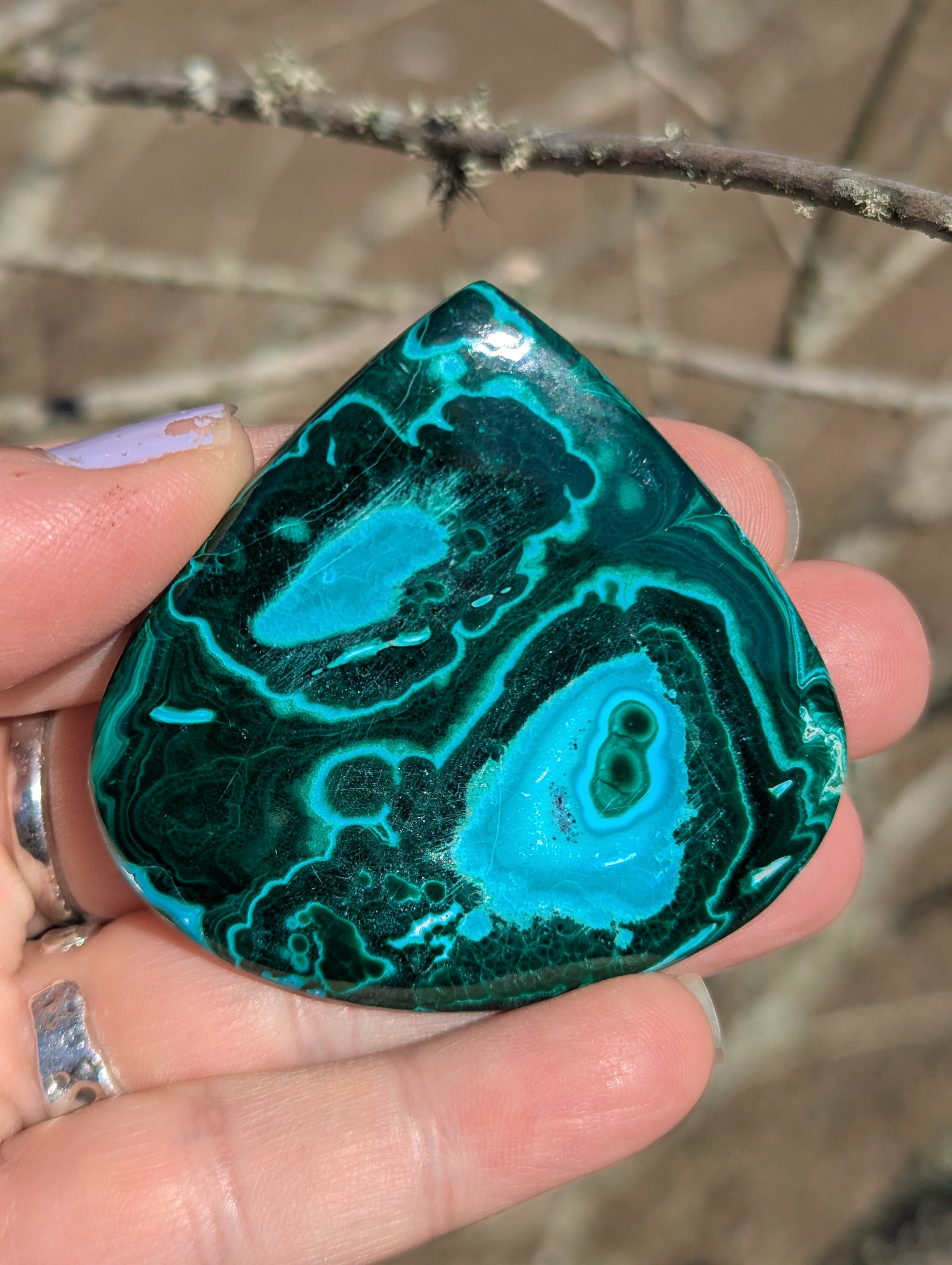 Giant Malachite Chrysocolla Cabochon