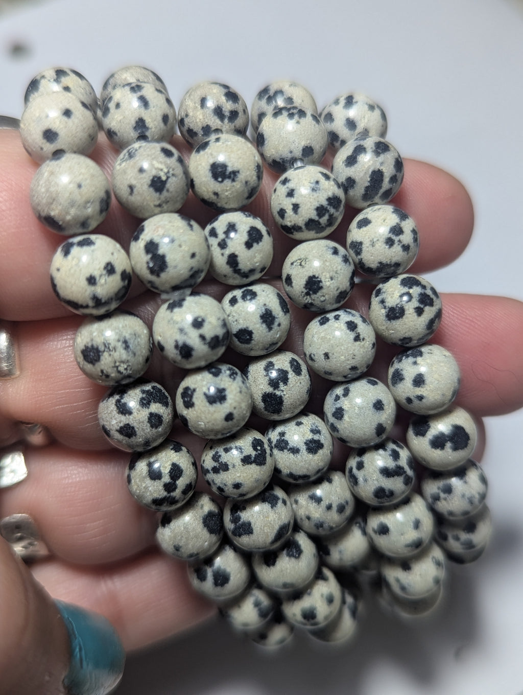 Dalmatian Jasper Bracelet