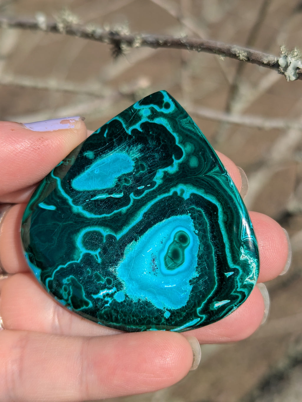 Giant Malachite Chrysocolla Cabochon
